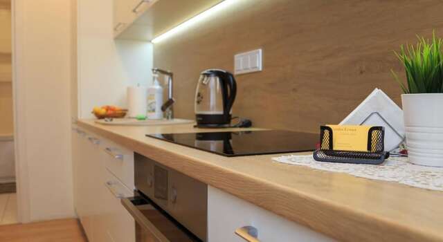 Апартаменты VIP apartaments - Zalgirio 96 Вильнюс-34
